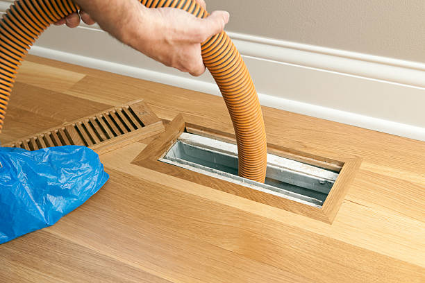 Best Local Air Duct Cleaning Services  in Sheridan, IN