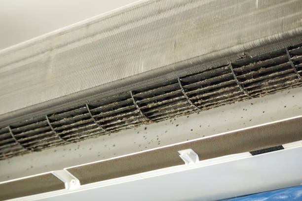 Best Air Duct Cleaning Near Me  in Sheridan, IN