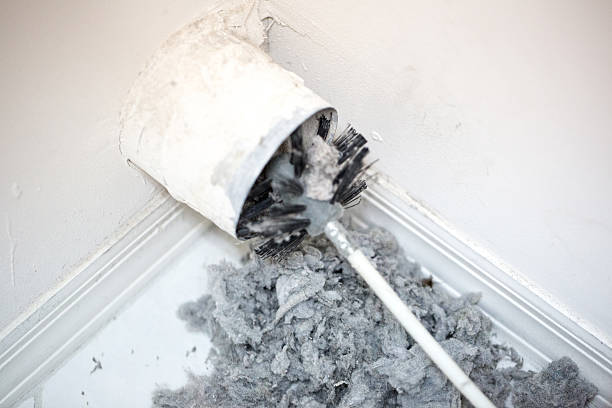 Best Dryer Vent Cleaning Services  in Sheridan, IN
